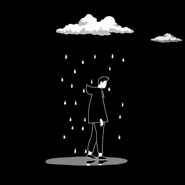 蘑菇视频——全景追剧必备教程秘籍